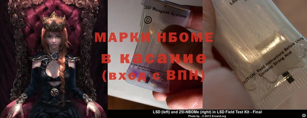 гашик Алексин