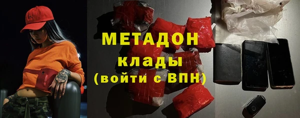 гашик Алексин