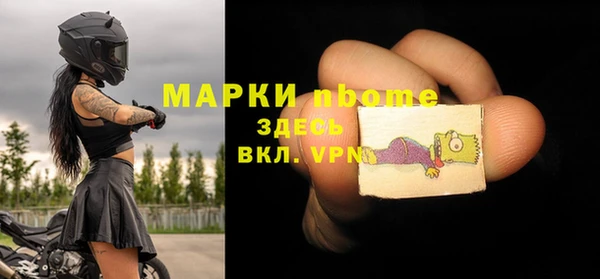 гашик Алексин
