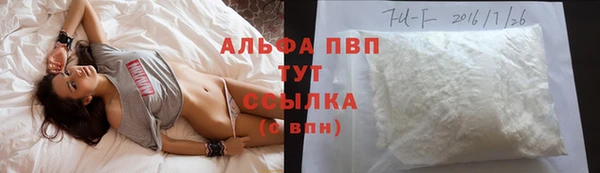 гашик Алексин