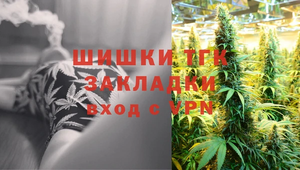 гашик Алексин