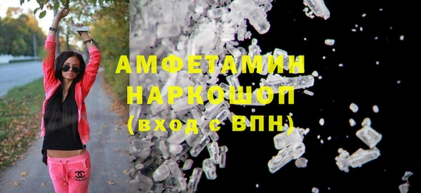 гашик Алексин