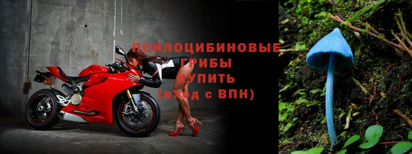 гашик Алексин