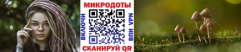 Галлюциногенные грибы мухоморы Карабулак